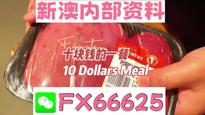 新澳最精準正最精準大全，一網(wǎng)打盡最新信息，新澳最新信息大全，一網(wǎng)打盡最精準資訊