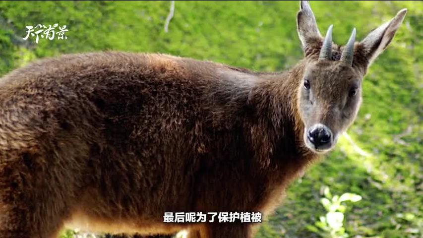 熱點 第120頁