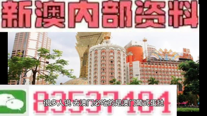 新澳門內(nèi)部碼精準(zhǔn)公開的多元解讀，新澳門內(nèi)部碼精準(zhǔn)公開的多元解讀與探討