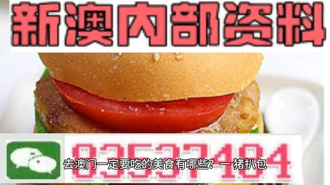 新門內(nèi)部資料精準(zhǔn)大全，一網(wǎng)打盡所有你需要知道的資訊，新門內(nèi)部資料大全，一網(wǎng)打盡所有必備資訊