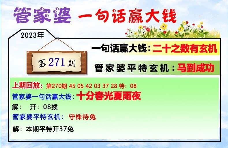 揭秘202管家婆一肖一碼，揭秘彩票背后的秘密，揭秘彩票背后的秘密，探究管家婆一肖一碼的神秘面紗