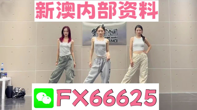一碼一肖一特早出晚，探尋數(shù)字背后的故事，探尋數(shù)字背后的故事，一碼一肖一特早出晚的神秘面紗
