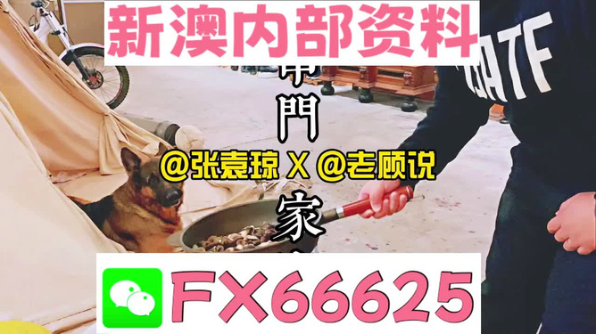 新澳門精準(zhǔn)資料大全——管家婆料的探索之旅，澳門管家婆料探索之旅，揭秘精準(zhǔn)資料大全