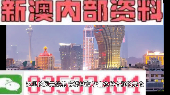 新澳新澳門正版資料，探索與解讀，新澳新澳門正版資料的探索與解讀