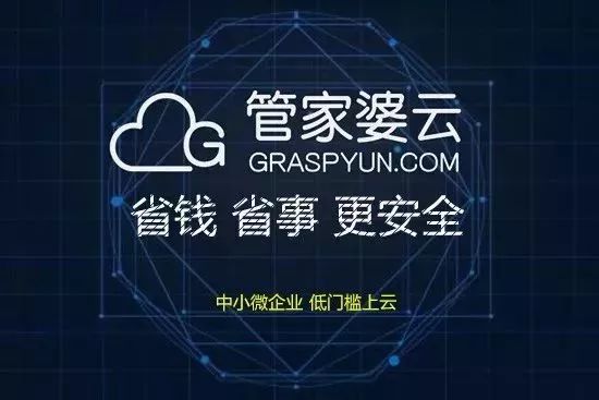 揭秘管家婆一碼一肖，神秘面紗背后的真相，揭秘管家婆一碼一肖，神秘面紗背后的真相探秘