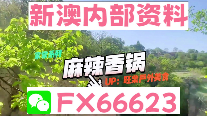 新澳精準(zhǔn)資料，探索與解讀，新澳精準(zhǔn)資料，深度探索與解讀