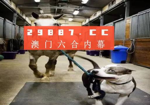 澳門一肖一碼一必中，同舟共濟共創(chuàng)輝煌，澳門一肖一碼精準預(yù)測，同舟共濟共創(chuàng)輝煌未來