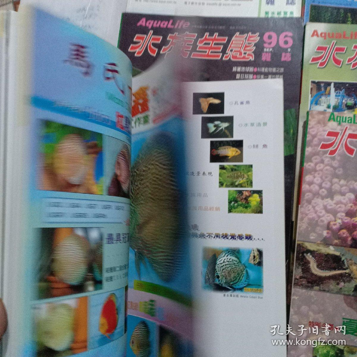 澳門王中王100%期期中一期，揭秘彩票背后的秘密，澳門王中王彩票揭秘，期期中背后的秘密真相探索