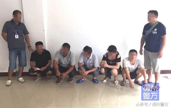港澳六開彩開獎結(jié)果歷史數(shù)據(jù)深度解析，港澳六開彩開獎結(jié)果歷史數(shù)據(jù)深度剖析