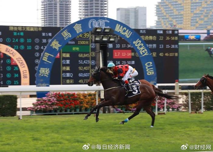 澳門賽馬會網址大全免費——全方位指南，澳門賽馬會網址大全及免費參與指南