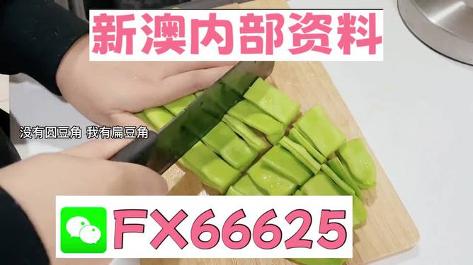 新澳精選資料大放送，免費(fèi)獲取優(yōu)質(zhì)資源指南，新澳精選資料免費(fèi)獲取，優(yōu)質(zhì)資源指南大放送