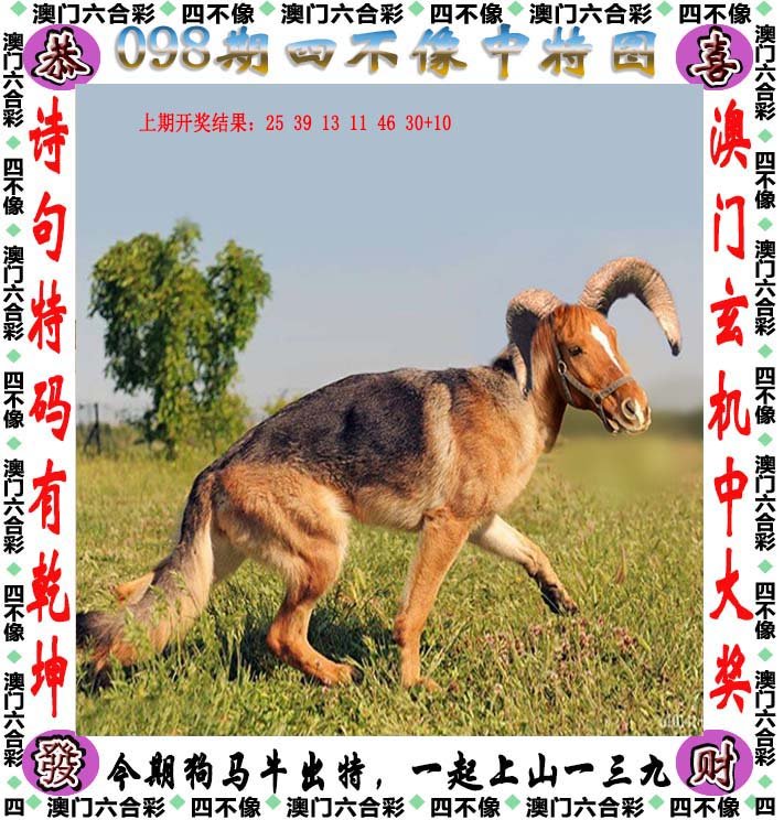 澳門精準(zhǔn)正版四不像，揭秘與探索，澳門精準(zhǔn)正版四不像揭秘探索之旅