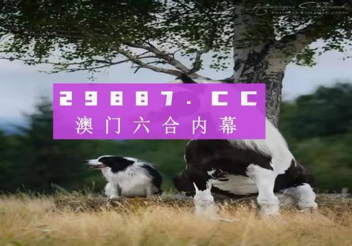 新澳門跑狗圖庫，探索與賞析，新澳門跑狗圖庫，探索與賞析之旅