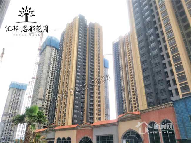 揭秘白小姐三期必出一肖種特的神秘面紗，揭秘白小姐三期必出一肖種特的秘密傳奇