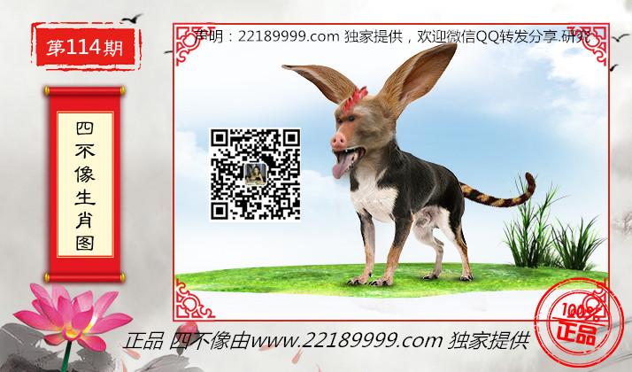 四不像資料免費(fèi)大全——網(wǎng)絡(luò)時(shí)代的寶藏探索，四不像資料免費(fèi)大全，網(wǎng)絡(luò)時(shí)代的寶藏深度探索