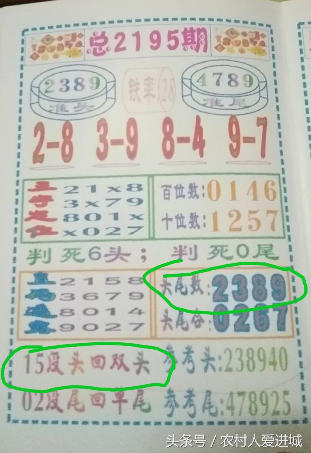新澳門一肖中，揭秘期期準(zhǔn)的奧秘，揭秘新澳門一肖中，期期準(zhǔn)的奧秘所在