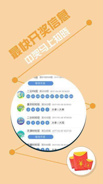 揭秘王中王493333中特開獎的神秘面紗，揭秘王中王493333中特開獎背后的秘密面紗