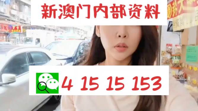 2004新澳門天天開好彩，回顧與展望，澳門彩票行業(yè)，回顧過去，展望未來