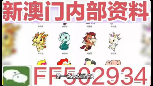 揭秘，2025新澳門今晚生肖揭曉盛典，揭秘，2025新澳門今晚生肖盛典揭曉時刻