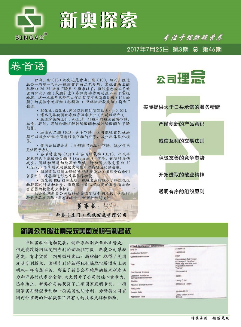 2025新澳精準(zhǔn)資料免費(fèi)下載攻略，2025新澳精準(zhǔn)資料免費(fèi)下載全攻略揭秘