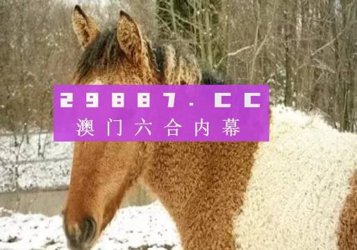 馬會(huì)傳真與澳門(mén)管家婆的百分百信賴(lài)，馬會(huì)傳真與澳門(mén)管家婆的信賴(lài)之選