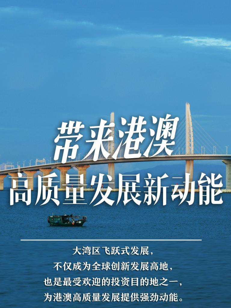 揭秘2025新澳門精準(zhǔn)免費(fèi)大全，揭秘2025新澳門精準(zhǔn)免費(fèi)大全資料全解析