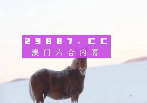 澳門正版精準免費大全，一網(wǎng)打盡各類資訊，澳門正版精準資訊大全，一網(wǎng)打盡各類最新資訊