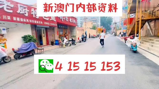 2025年澳門天天開好彩——彩民狂歡的幸運之都，澳門，幸運之都，彩民狂歡的幸運之旅到2025年持續(xù)火熱
