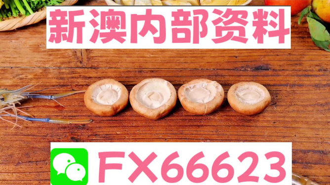 新澳正版資料免費提供，一網(wǎng)打盡優(yōu)質(zhì)資源，新澳正版資料全免費分享，優(yōu)質(zhì)資源一網(wǎng)打盡