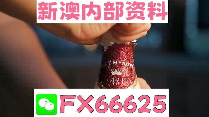 新澳門一碼一碼，揭秘100%準(zhǔn)確預(yù)測的魅力，揭秘新澳門一碼一碼預(yù)測準(zhǔn)確率百分之百的秘密