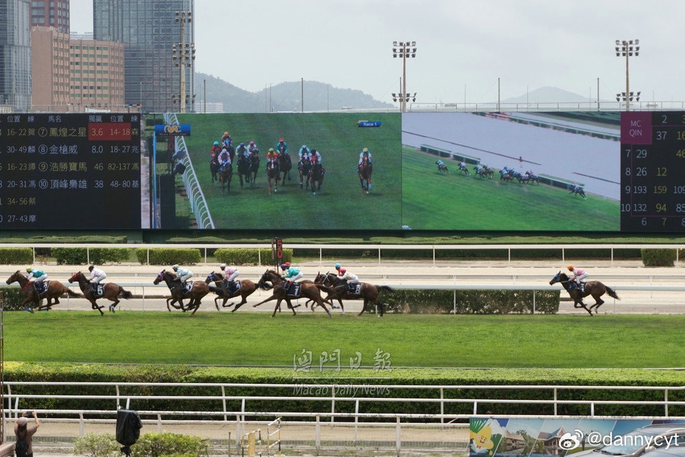 2025新澳門今晚開特馬直播——探索未來的澳門賽馬盛況，澳門賽馬盛況直播，探索未來的新澳門特馬之夜