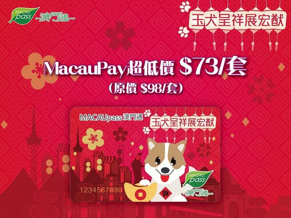 澳門正版資料大全資料生肖卡的魅力與探索，澳門正版資料大全揭秘生肖卡的魅力與探索之旅