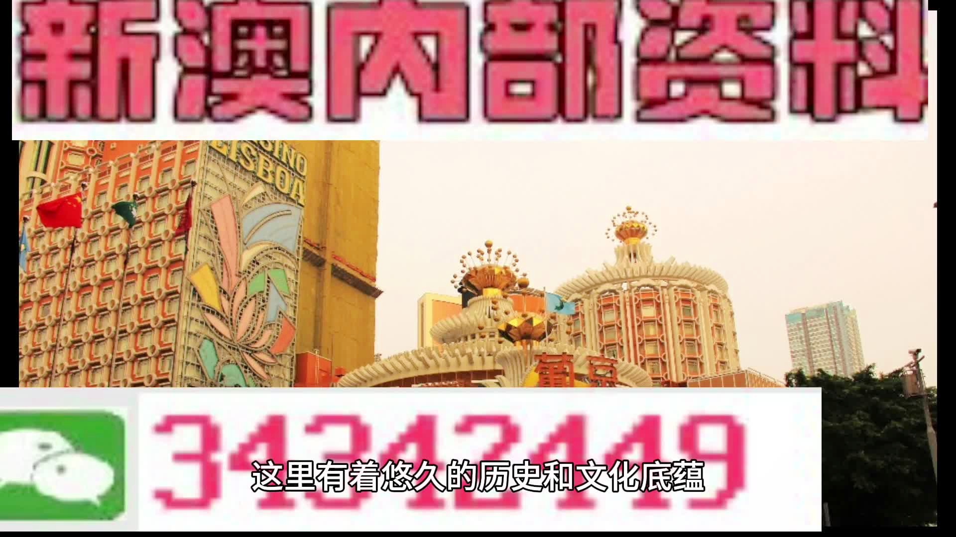 2025年澳門免費(fèi)資料大全特色展望，澳門未來展望，特色免費(fèi)資料大全（至2025年）
