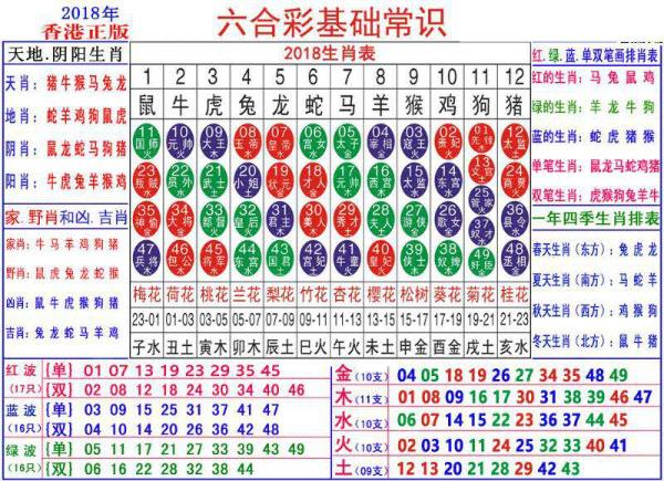 澳門正版資料大全資料生肖卡的奧秘與魅力，澳門正版資料大全，生肖卡的奧秘與魅力