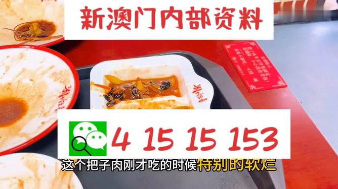 澳門王中王六碼新澳門，揭秘與探索，澳門王中王六碼揭秘與探索之旅