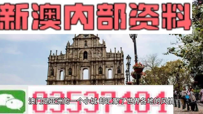 澳門今晚一肖必中特，揭秘博彩文化背后的秘密，澳門博彩文化揭秘，一肖必中特與今晚的秘密機會