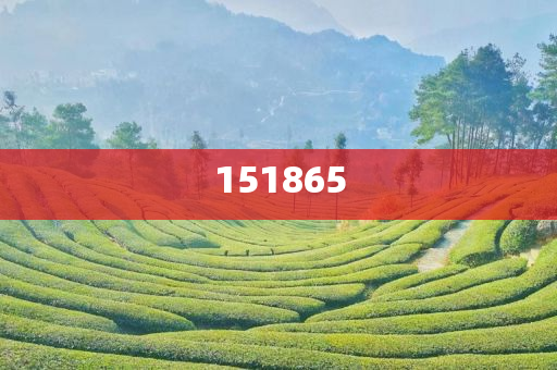 探索未來(lái)之門，2025新澳門精準(zhǔn)免費(fèi)大全，探索未來(lái)之門，2025新澳門精準(zhǔn)免費(fèi)大全概覽