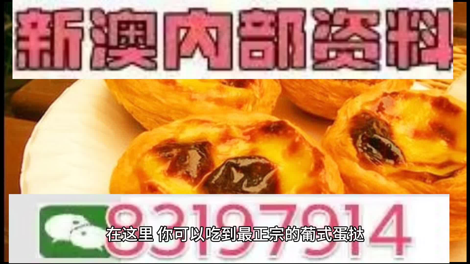 新澳門資料大全正版2025年免費(fèi)下載，家野中特的探索之旅，新澳門資料大全正版2025年免費(fèi)下載，家野中特的冒險(xiǎn)之旅