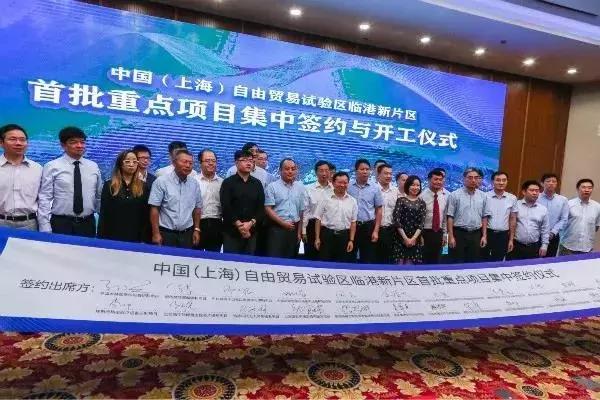 新奧天天免費(fèi)資料大全下載安裝全攻略，新奧天天免費(fèi)資料大全，下載、安裝全攻略及資料庫使用指南