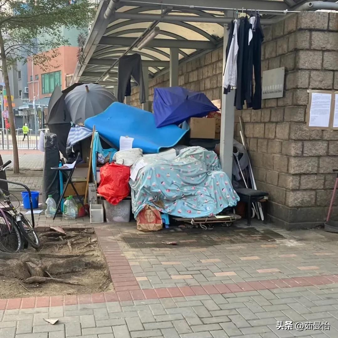 揭秘新澳門天天彩，是否為官方運營？，揭秘新澳門天天彩的官方運營真相