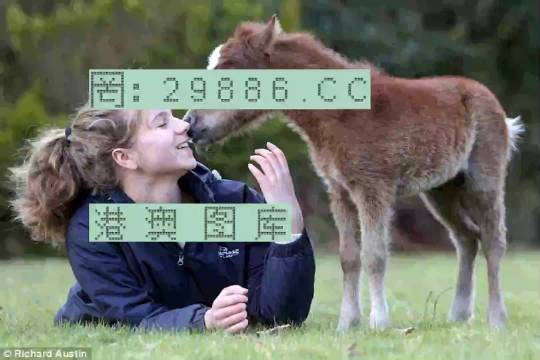 澳門今晚必開一肖一特，深度解析與預(yù)測(cè)，澳門今晚生肖特碼深度解析與預(yù)測(cè)，一肖一特必開趨勢(shì)探討