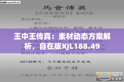 揭秘王中王傳真，7777788888的使用方法，揭秘王中王傳真，使用方法詳解 7777788888指南