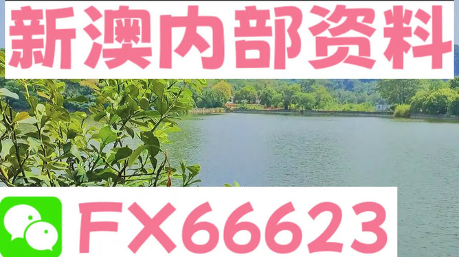 新澳精準(zhǔn)資料提供網(wǎng)站及其可用軟件綜述，新澳精準(zhǔn)資料提供網(wǎng)站與可用軟件概覽