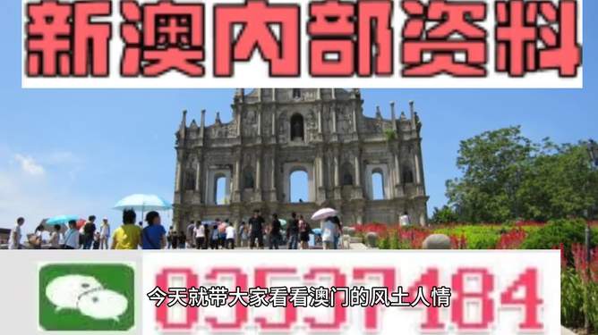 新澳今天最新資料解析，新澳今日最新資料深度解析