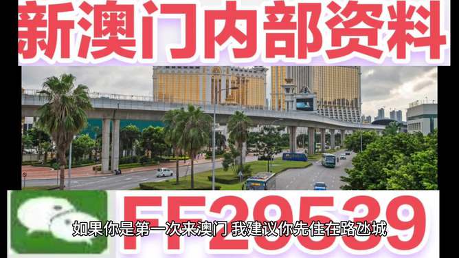 揭秘今晚澳門開獎號碼結果，澳門開獎號碼結果揭秘之夜