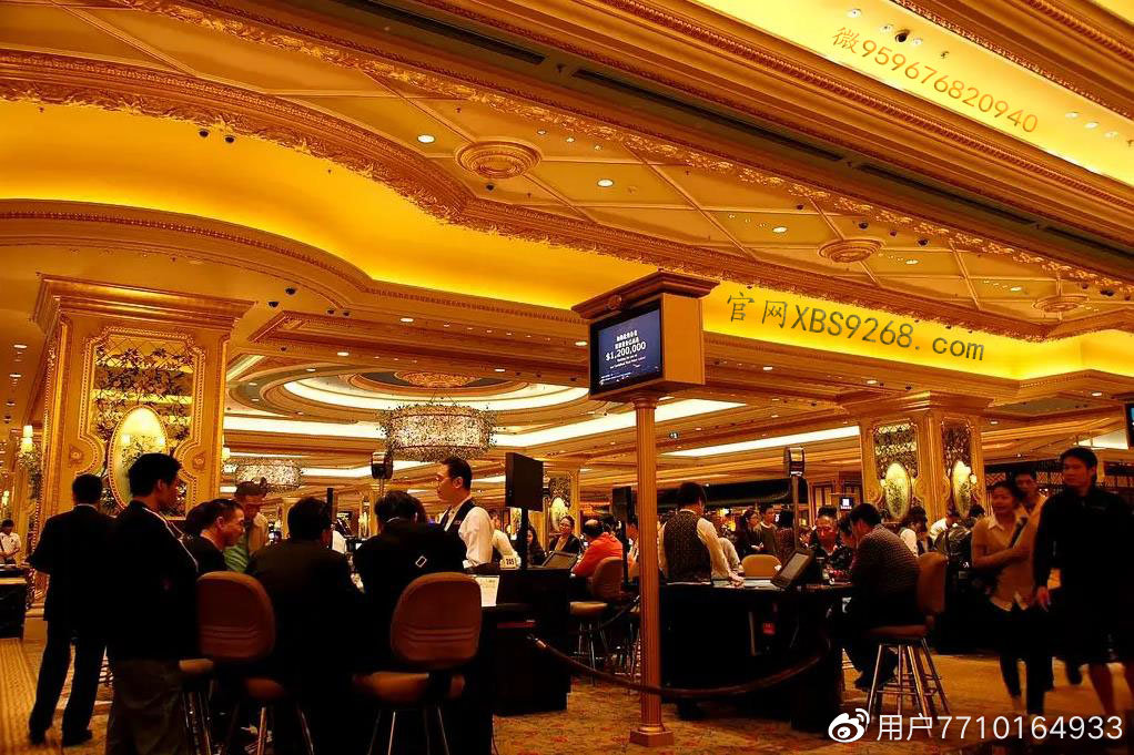 新澳門金龍app官方正版下載