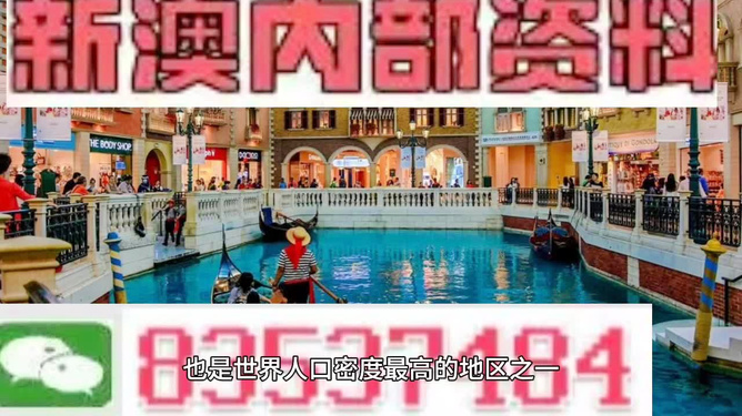 新澳門免費(fèi)精準(zhǔn)龍門客棧管家婆——探索現(xiàn)代澳門的神秘魅力，現(xiàn)代澳門神秘魅力揭秘，龍門客棧管家婆與免費(fèi)精準(zhǔn)攻略