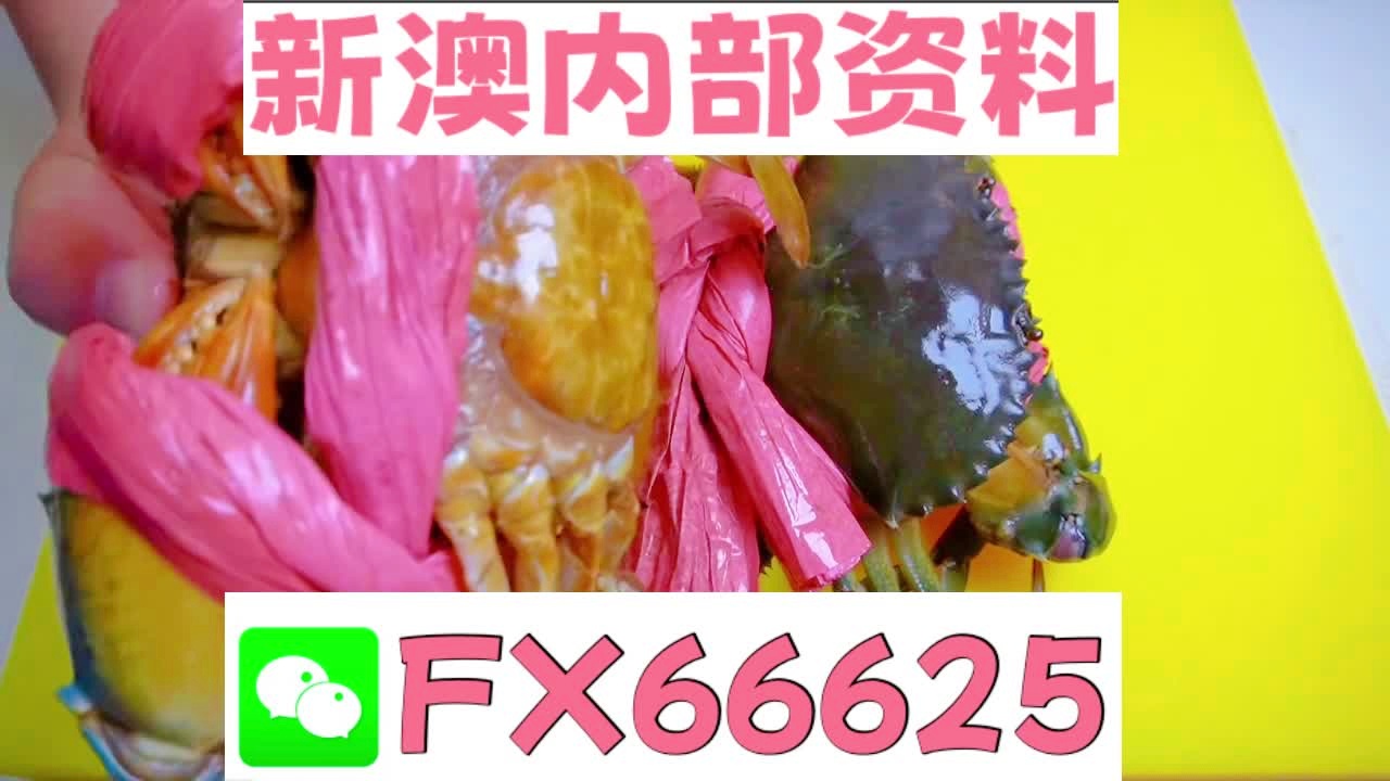 深度解析，2025新澳精準(zhǔn)資料大全，深度解析，2025新澳精準(zhǔn)資料大全概覽