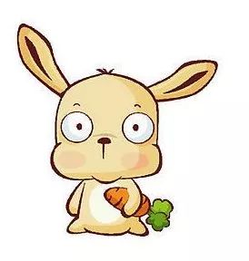 澳門一碼一肖一待一中四不像圖片——揭秘與探索，澳門神秘圖片揭秘，一碼一肖一待一中四不像的探索
