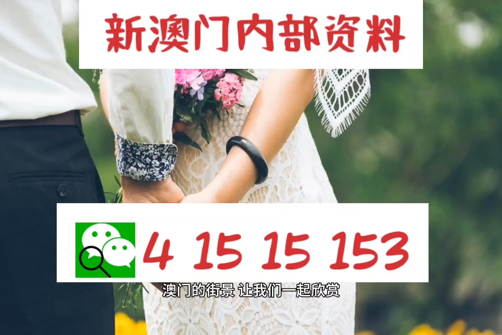 新澳今天最新資料解析，新澳今日最新資料深度解析